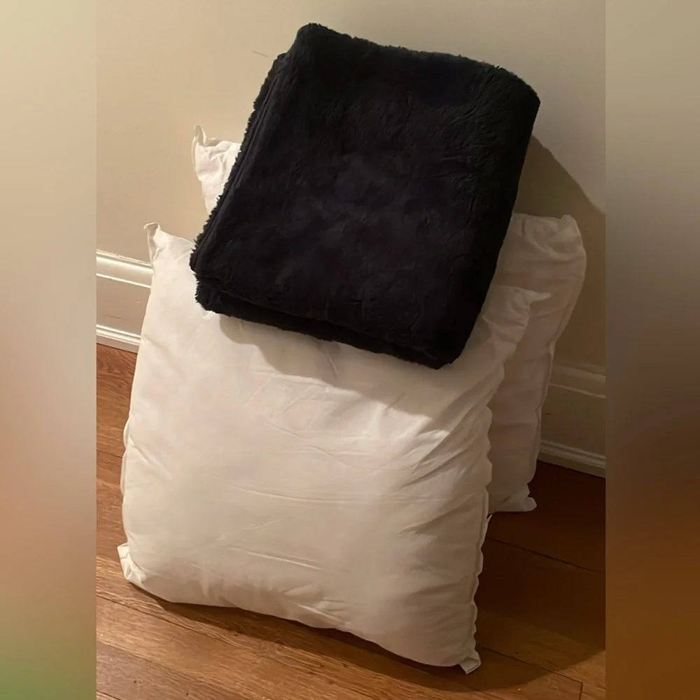 IKEA Dark Blue Accent Pillow set of 2